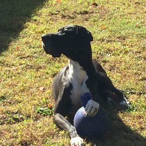 Meet your Posher, Phyllis